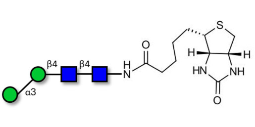 Man2b linked to biotin (Linker-BT F)