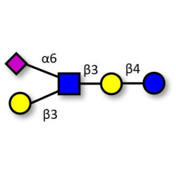 LS-Tetrasaccharide b (LSTb) (>95% HPLC)