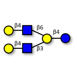 Lacto-N-neohexaose (LNnH) (>95% HPLC)