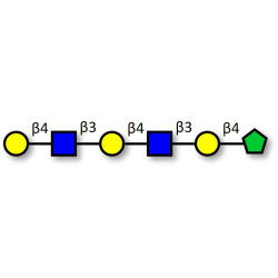 Para-Lacto-N-neohexaose (Para-LNnH) fructose isomer (>90% NMR)