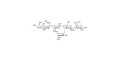 Sialyl Lewis x (sLex) pentaose grafted on polyacrylamide (PAA)