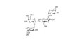 2',2-Difucosyllactose grafted on polyacrylamide (PAA) - 2',2-DFL