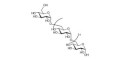Isomaltodecaose DP10 grafted on polyacrylamide (PAA) with biotin