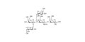 Lewis b (Leb) pentaose grafted on polyacrylamide (PAA) with fluorescein