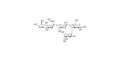 3’-Sialyl-3-Fucosyllactose grafted on polyacrylamide (PAA) with fluorescein - GLY063 ; F-SL