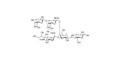 GM1a Ganglioside oligosaccharide grafted on polyacrylamide (PAA) with fluorescein