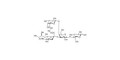 GM2 Ganglioside oligosaccharide analogue grafted on polyacrylamide (PAA) with fluorescein