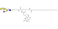 Chitin oligosaccharides DP2...
