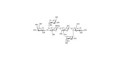 Lewis x (Lex) hexaose / Lacto-N-neodifucohexaose II (LNnDFH II) grafted on polyacrylamide (PAA) with stearic chain - Lewis X hexasaccharide; Lacto-N-difucohexaose III ; LNDFH III