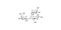 3-Fucosyllactose (3-FL) grafted on polyacrylamide (PAA) with stearic chain