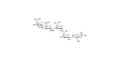 Forssman antigen pentaose grafted on polyacrylamide (PAA) with stearic chain