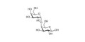 α1-4 galactobiose grafted on polyacrylamide (PAA) with stearic chain