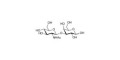 GlcNAcβ1-3Gal grafted on polyacrylamide (PAA) with stearic chain