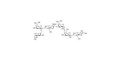 Globo-H analogue type 2 grafted on polyacrylamide (PAA) with stearic chain