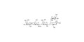 Lacto-N-fucopentaose V (LNFP V) grafted on polyacrylamide (PAA) with biotin and fluorescein