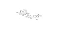 2,6'-Sialyllactose (6'-SL) grafted on polyacrylamide (PAA) with fluorescein and stearic chain - 6'-SL ; N-Acetylneuramin-lactose