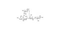 GM2 Ganglioside oligosaccharide grafted on polyacrylamide (PAA) with fluorescein and stearic chain