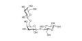6'-Galactosyllactose (6'GL) grafted on polyacrylamide (PAA) with stearic chain