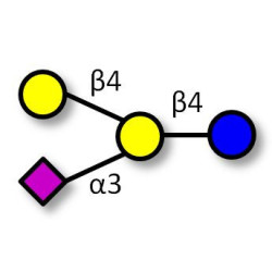 GM2 Ganglioside oligosaccharide analogue (>90% NMR)
