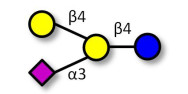 GM2 Ganglioside...