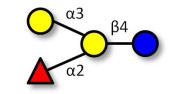 Blood group B antigen...