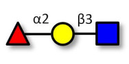 Blood group H antigen...