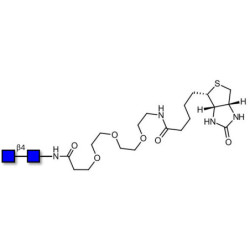 Chitinbiose DP2 linked to biotin (Linker-BT G)