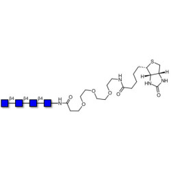 Chitintetraose DP4 linked to biotin (Linker-BT G)