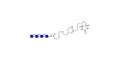 Chitintetraose DP4 linked to biotin (Linker-BT G) - Chitin oligosaccharides DP4 ; N,N',N'',N'''-Tetraacetylchitotetraose ; Tetra-N-acetylchitotetraose