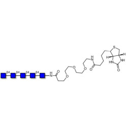 Chitinpentaose DP5 linked to biotin (Linker-BT G)