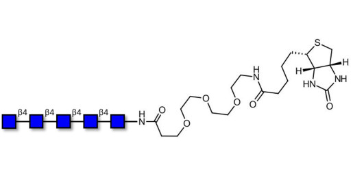 Chitinpentaose DP5 linked to biotin (Linker-BT G) - Chitin oligosaccharides DP5 ; N,N',N'',N''',N''''-Pentaacetylchitopentaose ; Penta-N-acetylchitopentaose