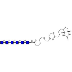 Chitinhexaose DP6 linked to biotin (Linker-BT G)