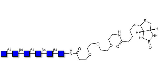 Chitinhexaose DP6 linked to biotin (Linker-BT G) - Chitin oligosaccharides DP6 ; N,N',N'',N''',N'''',N'''''-Hexaacetylchitohexaose ; Hexa-N-acetylchitohexaose