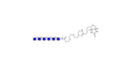 Chitinhexaose DP6 linked to...
