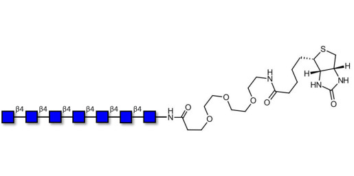 Chitinheptaose DP7 linked to biotin (Linker-BT G) - GLU437 Chitin oligosaccharides DP7 ; N,N',N'',N''',N'''',N''''',N''''''-Heptaacetylchitoheptaose ; Hepta-N-acetylchitoheptaose