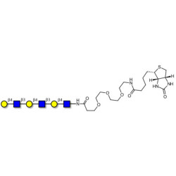Tri-N-Acetyl-D-Lactosamine linked to biotin (Linker-BT G)