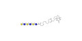 Tri-N-Acetyl-D-Lactosamine linked to biotin (Linker-BT G) - TriLacNAc ;Tri-(2-Acetamido-2-deoxy-4-O-β-D-galactopyranosyl-D-glucopyranose) ; Tri-(N-Acetyl-4-O-(β-D-galactopyranosyl)-D-glucosamine)