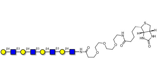 Tetra-N-Acetyl-D-Lactosamine linked to biotin (Linker-BT G) - TetraLacNAc; Tetra-(2-Acetamido-2-deoxy-4-O-β-D-galactopyranosyl-D-glucopyranose); Tetra-(N-Acetyl-4-O-(β-D-galactopyranosyl)-D-glucosamine)