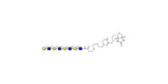 Tetra-N-Acetyl-D-Lactosamin...