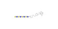 Tetra-N-Acetyl-D-Lactosamine linked to biotin (Linker-BT G) - TetraLacNAc; Tetra-(2-Acetamido-2-deoxy-4-O-β-D-galactopyranosyl-D-glucopyranose); Tetra-(N-Acetyl-4-O-(β-D-galactopyranosyl)-D-glucosamine)
