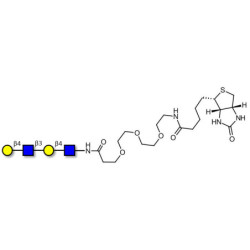 Di-N-Acetyl-D-Lactosamine linked to biotin (Linker-BT G)
