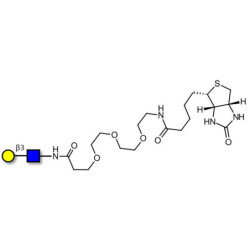 Lacto-N-Biose / N-Acetyl-D-Lactosamine (LacNAc) type I linked to biotin (Linker-BT G)