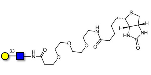 Lacto-N-Biose / N-Acetyl-D-Lactosamine (LacNAc) type I linked to biotin (Linker-BT G) - 2-Acetamido-2-deoxy-3-O-(β-D-galactopyranosyl)-D-glucopyranose