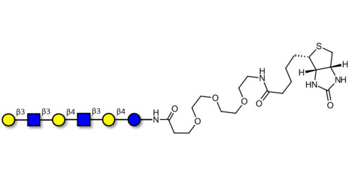 Para-Lacto-N-hexaose (Para-LNH) linked to biotin (Linker-BT G) - pLNH ; p-Lacto-N-hexaose