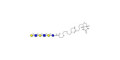 Para-Lacto-N-hexaose (Para-LNH) linked to biotin (Linker-BT G) - pLNH ; p-Lacto-N-hexaose