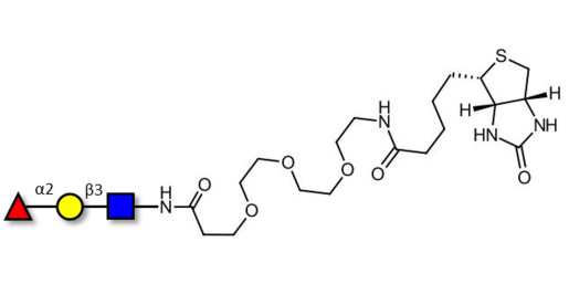 Blood group H antigen triose type 1 linked to biotin (Linker-BT G) - Blood group H trisaccharide type I  ; 