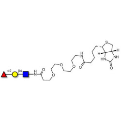Blood group H antigen triose type 2 linked to biotin (Linker-BT G)