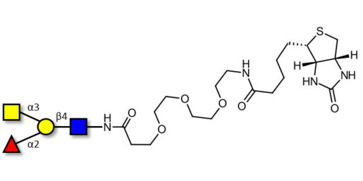 Blood group A antigen tetraose type 2 linked to biotin (Linker-BT G) - Blood Group A tetrasaccharide type II 