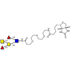 Blood group A Lewis b antigen pentaose type 1 linked to biotin (Linker-BT G)