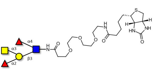 Blood group A Lewis b antigen pentaose type 1 linked to biotin (Linker-BT G)